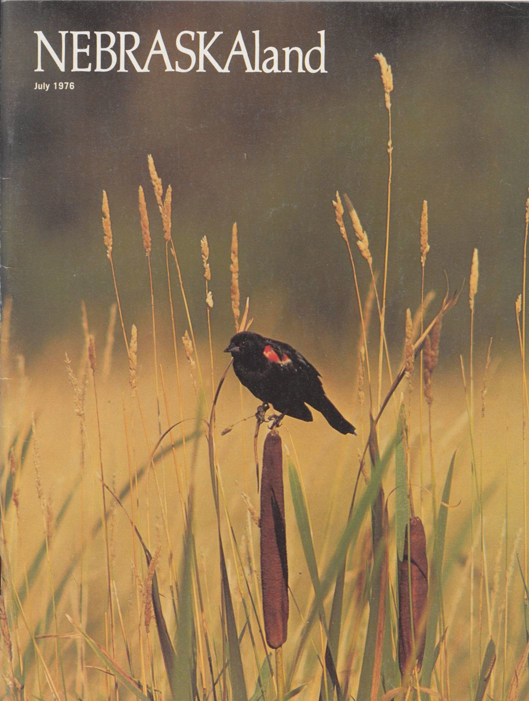 Nebraskaland digital archive